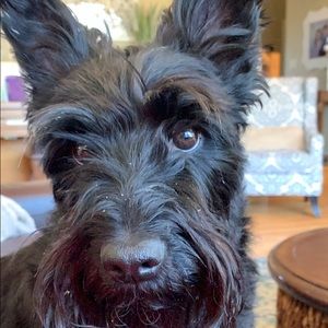 Meet your Posher, Jackson